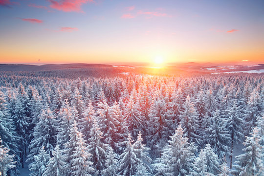 Thüringer Wald im Winter - Sonnenuntergang