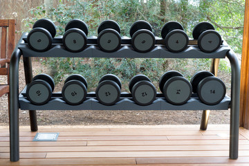 Fototapeta na wymiar Gym with weights in the forest