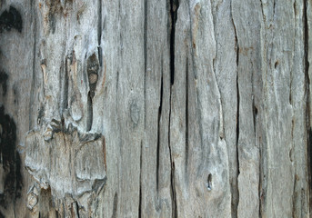 Old natural wooden shabby background