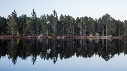 Fototapeta premium Blurred Fall Reflection