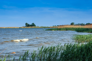 Reed and blue river, nature landscape background