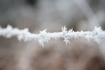 Campagne givrée, givre, blanc, neige