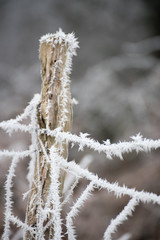 Campagne givrée, givre, blanc, neige