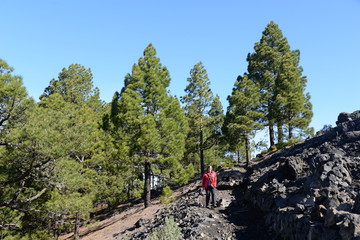 Auf der Vulkanroute, La Palma