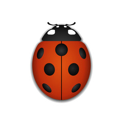 Ladybug small icon. Red lady bug sign, isolated on white background. 3d volume design. Cute colorful ladybird. Insect cartoon beetle. Symbol of nature, spring or summer. Vector illustration