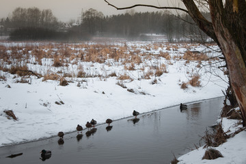 Zima nad rzeką © Mariusz Stoszewski