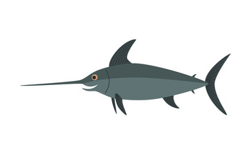 Swordfish vector, Isolated on white background