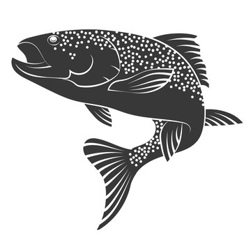 Salmon silhouette