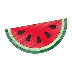 watermelon fruit icon over white background. colorful design. vector illustration