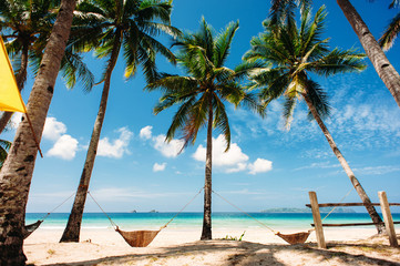 tropical beach, Philippines, palm trees with hammocks, blue sky, sea