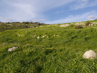 malta krajobraz