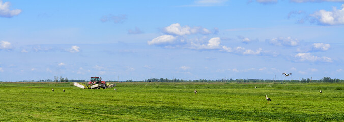 Fototapeta na wymiar Belarus tractor mowing the grass in the field, catching frogs, storks, summer, June, agricultural enterprise, Minsk region, Belarus, 
