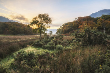 Beautiful foggy misty Autumn sunrise over countryside surroundin