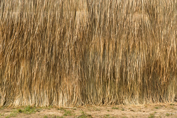 agriculture farm dried grass straw as a wall