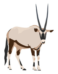 Oryx, standing, looking to recipient - illustration - isolated on white background