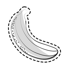 banana fruit icon over white background. vector illustration