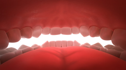 3d rendering of human teeth, open mouth, inside view