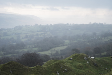Stunning landscape image of abandoned quarry taken over by natur