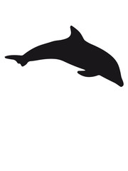 Fish dolphin silhouette black