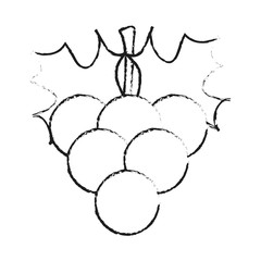 grape fruit icon over white background. vector illustration