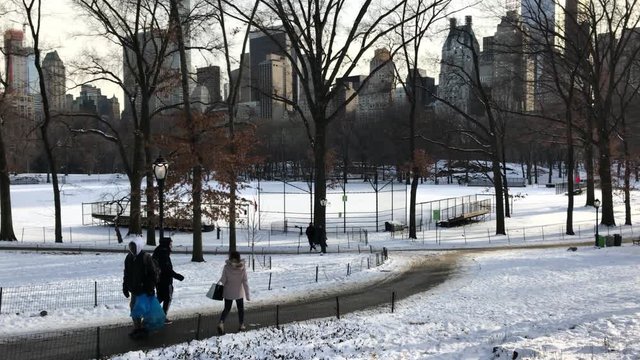 Winter walk in Central park with snow, New York, 4K
