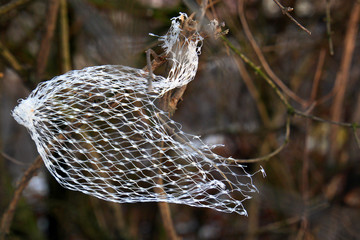 Empty bird food mesh in a tree in the city