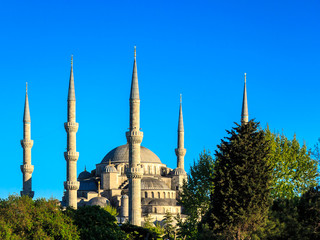 Fototapeta na wymiar Blue mosque in the setting sun. Istanbul.