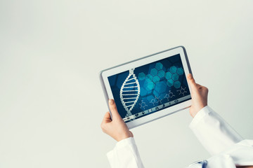 Close of female doctor hands working with tablet pc computer