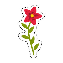 cute flower isolated icon vector illustration design