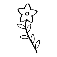 cute flower isolated icon vector illustration design