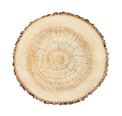 Wood texture with tree rings