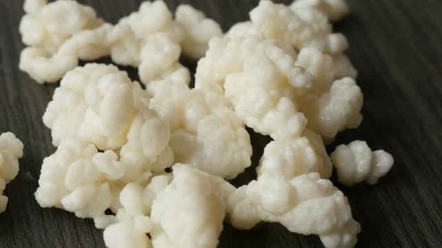 Close-up of Lactobacillus species lactic acid bacteria and yeasts kephyr 4K 2160p 30fps UltraHD footage - Fungus grains bacterial fermentation starter of milk kefir drink slow pan 3840X2160 UHD video 
