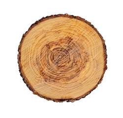Fototapeta premium Tree rings and texture on a large wood stump isolated on white