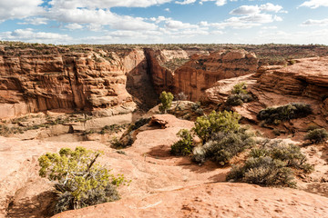 Canyon de Chelley, Canyon del Muerto, Ledge Ruin Overlook, Arizo