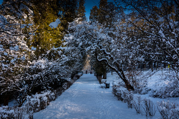 Przemyśl park. Zima © Pawel Gruntowicz