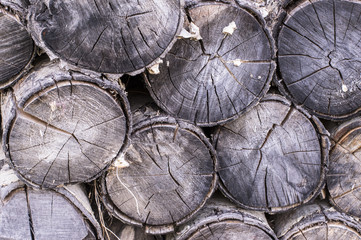 Naklejka premium Firewood 01