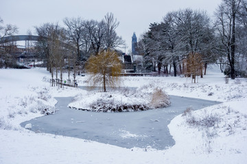 Park im Winter