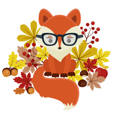 Autumn/fall fox
