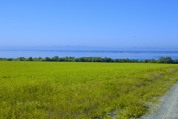 green field near the river.
