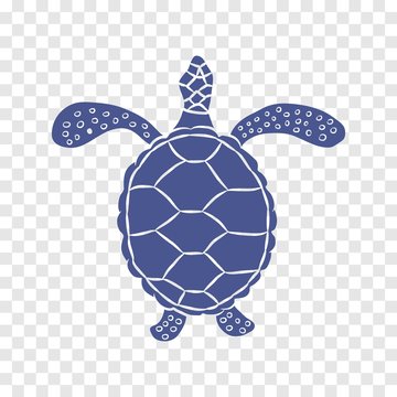 sea turtle vector icon
