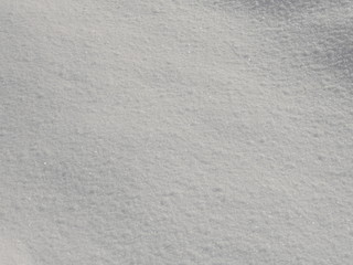 Freshly fallen snow in the morning in Hokkaido, Japan