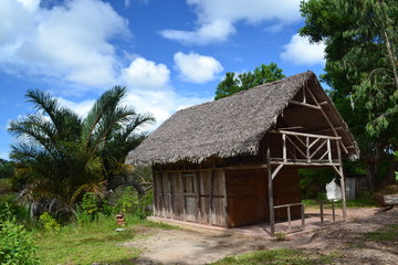 Fototapeta na wymiar Petite maison tropicale