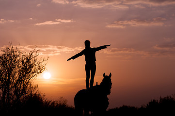 Fototapeta na wymiar silhouette of a girl standing on a horse on a background of sunset and sunrise. The rider performs a trick. The man straightened his arms like wings