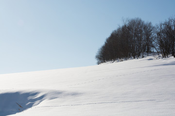Obraz premium 青空と雪の丘
