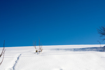 雪原と青空