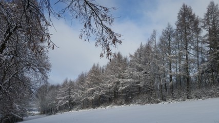 Verschneite Winterlandschaft - Winter Winterwald schneebedeckt