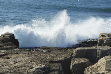 Fototapeta premium bruma