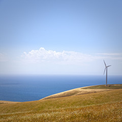 Wind Farm Starfish Hill South Australia