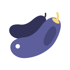 Eggplant or aubergine vegetable isolated vector illustration.