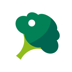 Fresh green broccoli isolated vector.